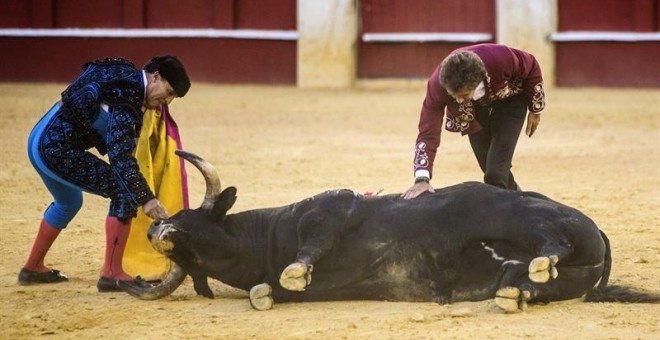 Veterinarios antitaurinos piden que estos profesionales dejen de implicarse en corridas de toros. EFE