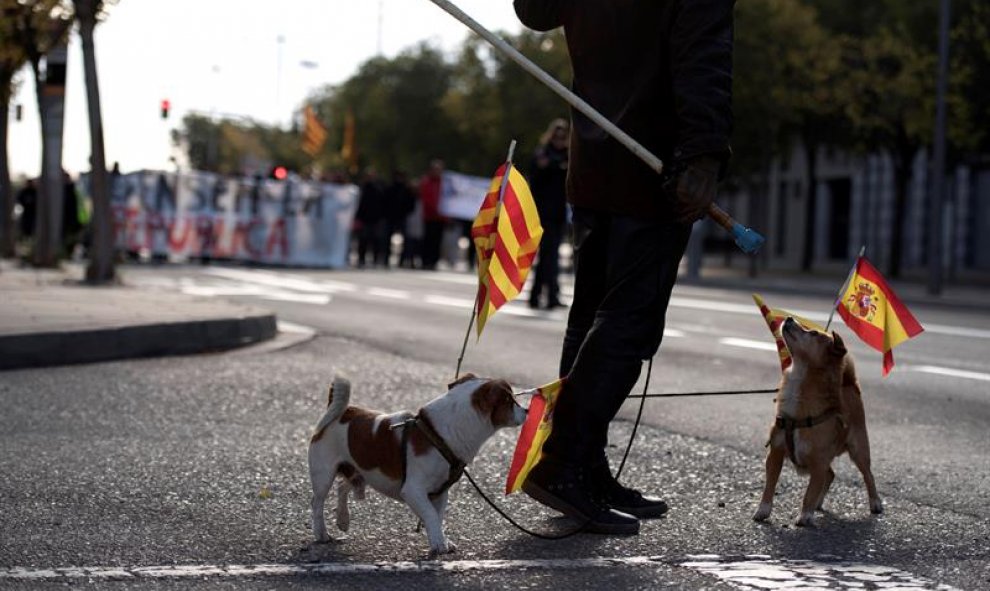 Un hombre pasea con una bandera española y otra catalana delante de manifestantes en huelga en Lleida. EFE/Adrià Ropero