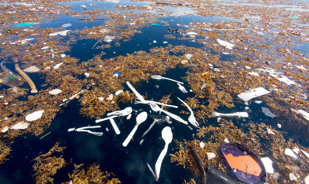 Una isla de plástico que supera ya el tamaño de España, Francia y Alemania se cierne sobre las costas de Roatan.- LAS NAVES