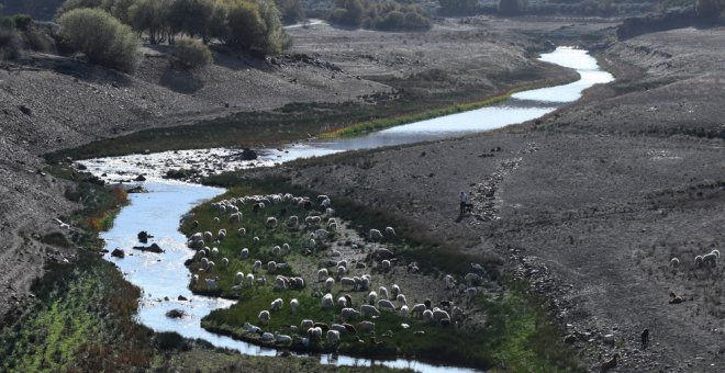 El 50% de las masas de agua en España están en mal estado. AFP