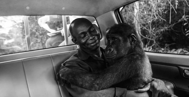 Pikin and Appolinaire, de Jo-Anne McArthur (Natural History Museum)