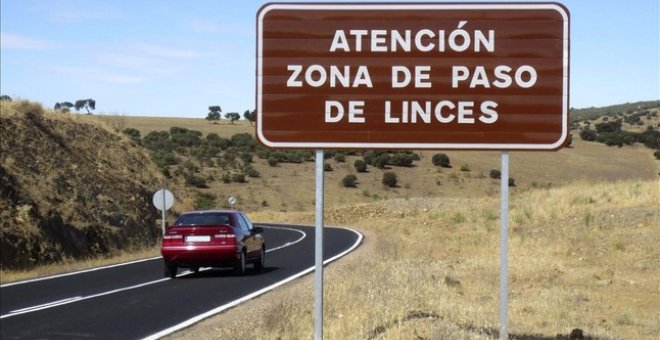 Cartel informativo sobre la presencia de linces, cerca de la localidad de Viso del Marqués, en Ciudad Real. / EFE / LIFE-IBERLINCE