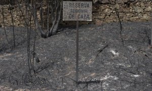 (19/6/2022) Vista general de los daños producidos por el incendio en Villardeciervos (Zamora), en la sierra de la Culebra.