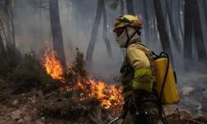Un bombero trabaja en la extinción del incendio en la Sierra Culebra, en Zamora, Castilla y León.