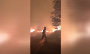 Ocho pueblos desalojados y 9.000 hectáreas quemadas en el incendio de Zamora