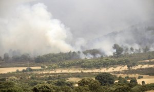 El incendio forestal declarado el miércoles por la noche por los rayos de una tormenta seca en la reserva de la Sierra de la Culebra, en la provincia de Zamora