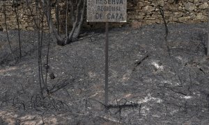 (19/6/2022) Vista general de los daños producidos por el incendio en Villardeciervos (Zamora), en la sierra de la Culebra.