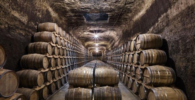 Rutas del Vino de Castilla-La Mancha, la mejor oferta de enoturismo en España