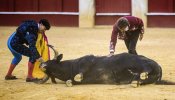 "Alguien y no algo": una lista de nombres de los toros asesinados para luchar contra la tauromaquia