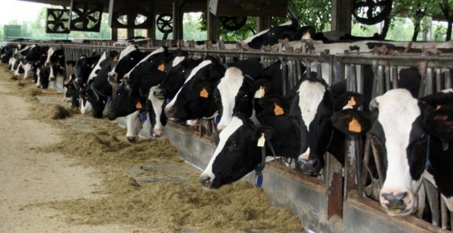 La venda directa de llet crua, una demanda encallada