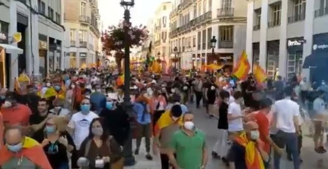 Cientos de ultraderechistas se concentran en Málaga contra el Gobierno y sin mantener el distanciamiento social