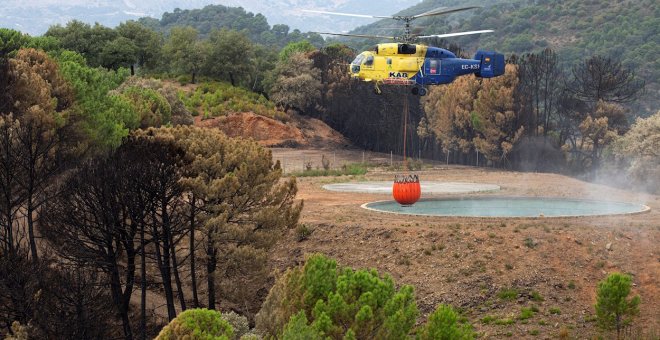El incendio de Sierra Bermeja es el séptimo más grande de la década en España