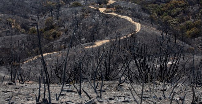 Las imágenes que muestran el impactante panorama de la Sierra Bermeja tras el séptimo incendio más grave de la década