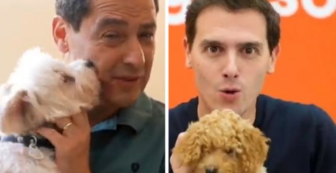"De los creadores de Lucas 'aún huele a leche'...": el vídeo de Juanma Moreno con su perro que ha recordado a Albert Rivera