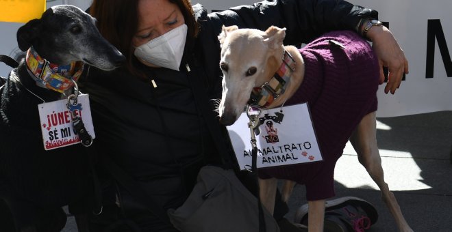 Condenan a un concejal del PP de un pueblo de Zaragoza por acribillar con 400 perdigones a un perro hasta la muerte